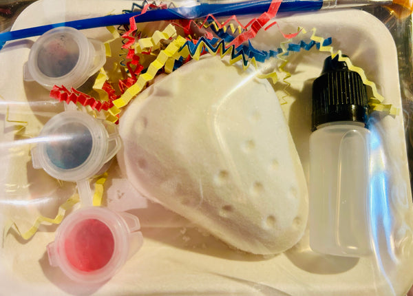 Paint Your Own Bathbomb Kit